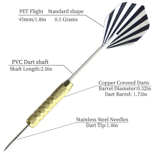 Professional Steel Tip Darts Set - 18g Darts with Case & Accessories