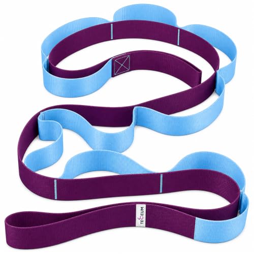 Stretching Strap with 10 Loops for Physical Therapy - Purple Blue