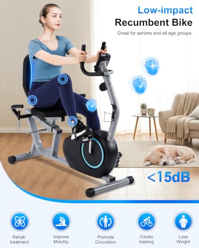 Recumbent Exercise Bike for Seniors - 400LB Capacity, Blue