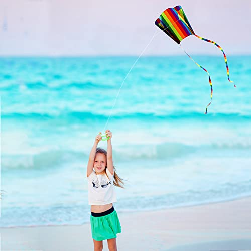 HENGDA Rainbow Parafoil Kite for Kids & Adults - with 700ft Reel String, Easy Fly, No Assembly, Beach Fun (Variation: rainbow kite)