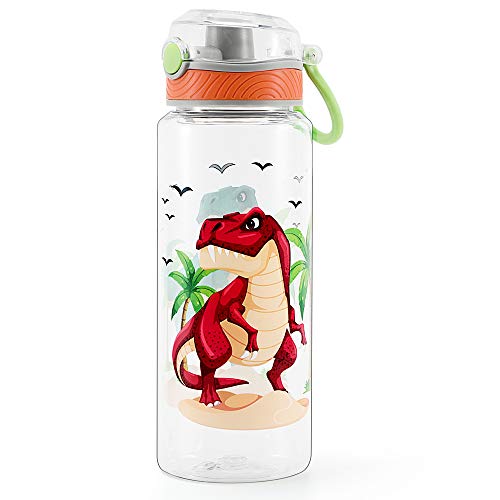 23oz Kids Water Bottle - Dinosaur Design with Chug Lid
