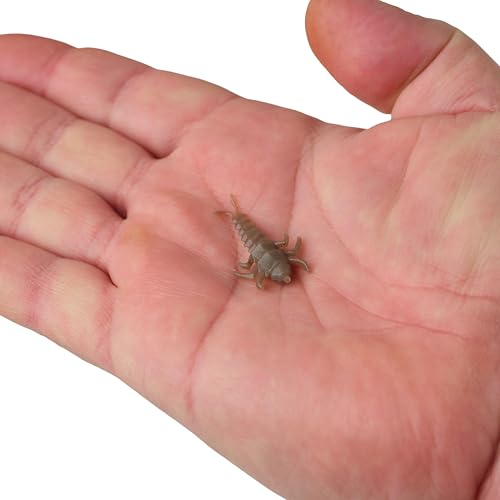 Gulp! Alive! Stonefly Fishing Soft Bait - Smog, 1.25"