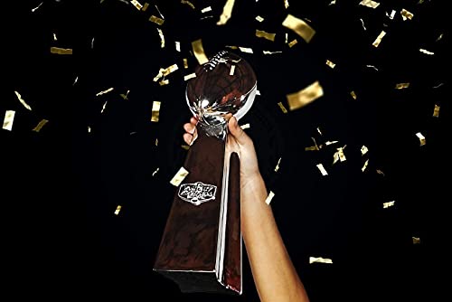 Fantasy Football Trophy - 14 Inch Chrome Replica Award