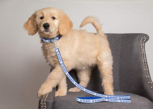NCAA Dog Leash - Medium Kentucky Wildcats, Durable Nylon