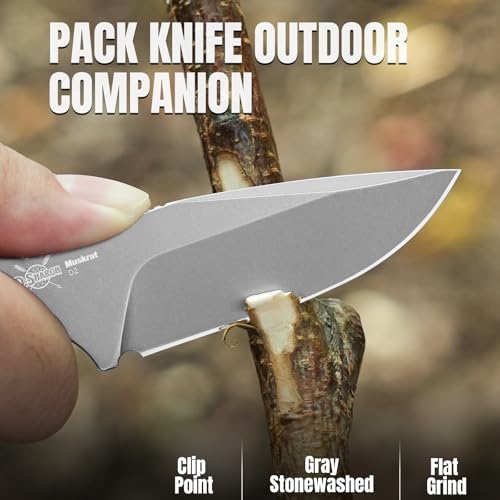 Kizer Muskrat Fixed Blade Knife Black G10 Handle, D2 Steel, EDC Hunting