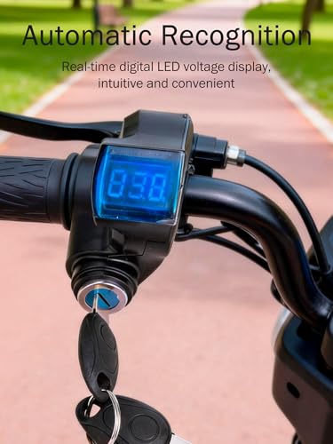 E-Bike Throttle Control Switch with Voltage Display - LCD Replacement