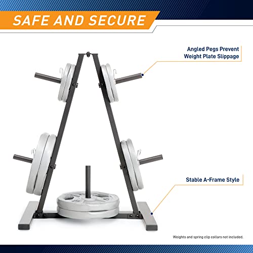 Weight Plate Tree for 1-Inch Plates - 300 lb Max Capacity