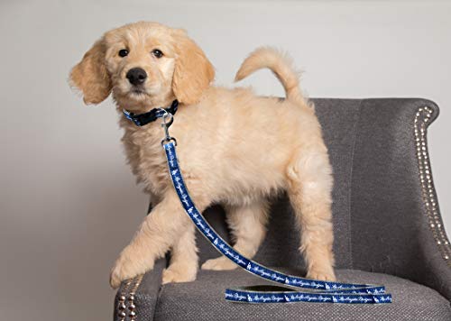 Large MLB Licensed Dog Leash - Los Angeles Dodgers
