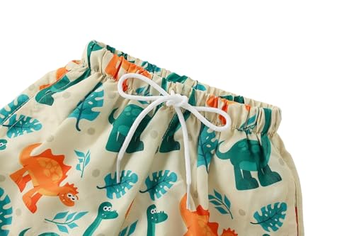 Boys Toddler Swim Trunks - Dinosaurs Print, UPF50+