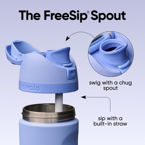 24 oz Insulated Stainless Steel Water Bottle with FreeSip Spout