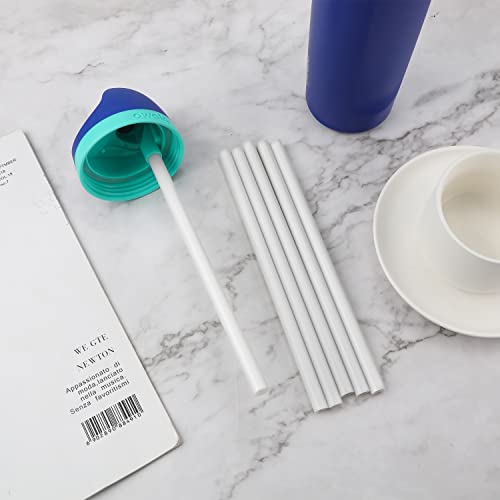 6 Reusable Replacement Straws for Owala FreeSip 19oz
