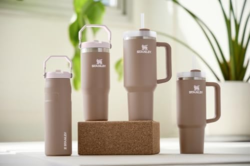 Stanley IceFlow Flip Straw 2.0 Water Bottle - 16 OZ Insulated Stainless Steel | Lightweight & Leak-Resistant | BPA-Free | Frost