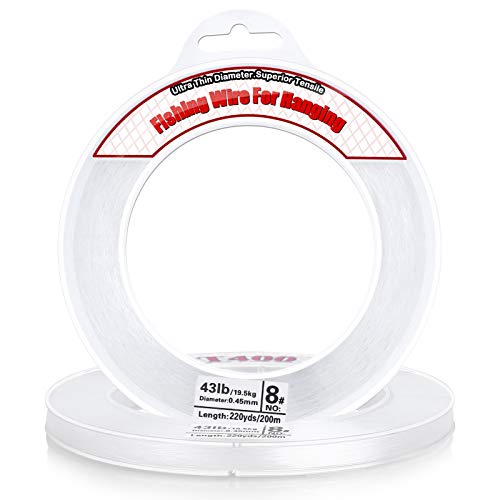 Clear Fishing Wire - 656FT Strong Nylon String for Decorations