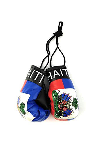 Mini Hanging Boxing Gloves for Car Mirror - Haiti