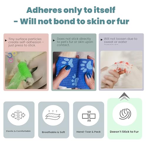 Self-Adhesive Pet Bandage - 6 Rolls, 2 Inch, Assorted Colors - Animals