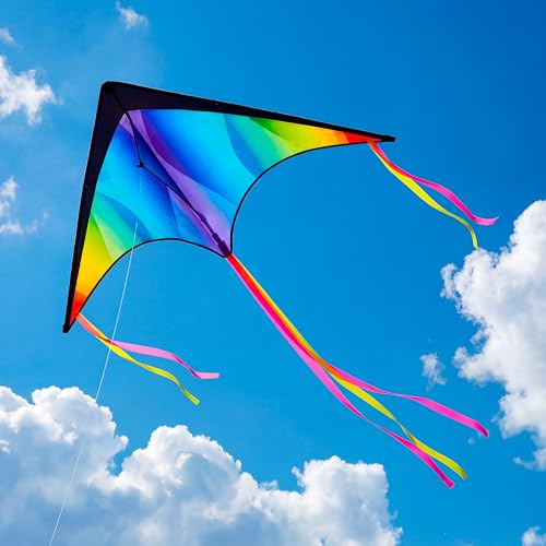 Large Delta Kite - Gradient Rainbow Easy Flyer for Kids & Adults
