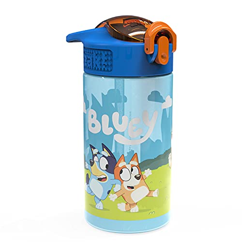 16oz Leak-Proof Kids Water Bottles - BPA Free, 2-Pack