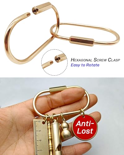 Oythiem 10 Pcs Gold Carabiner Keychain Clips with Secure Locking Screw