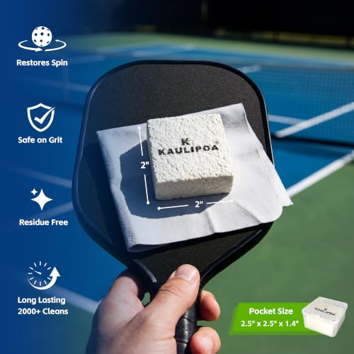 2-Pack Carbon Fiber Pickleball Paddle Cleaning Kit