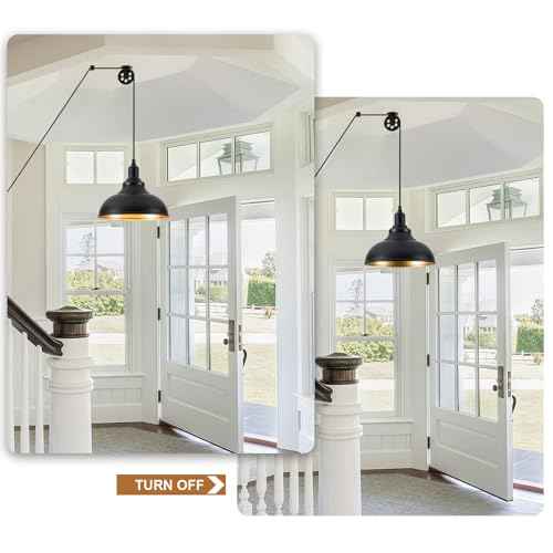Black Pendant Light Hanging Lamps for Living Room Plug in 15FT Dimmable Switch Adjustable Pulley Hanging Lights with Cord for Kitchen Bedroom 2 Pack