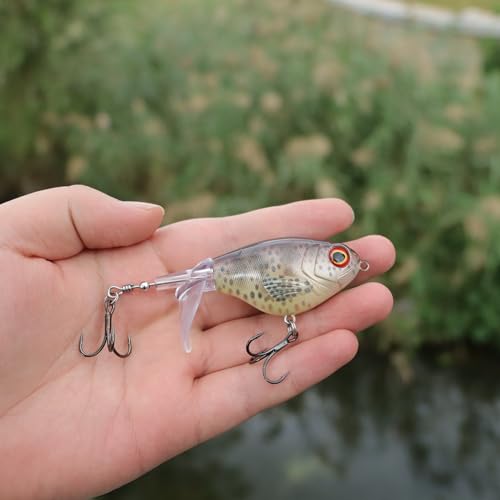 EXAURAFELIS 3.74" 0.56oz Topwater Bass & Pike Popper Lure with Tackle Box