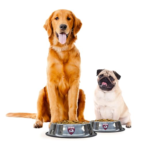 NHL Colorado Avalanche Stainless Steel Pet Bowl - Small