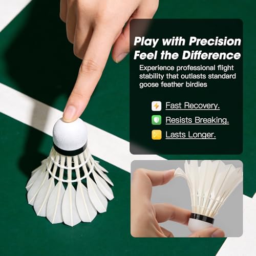 Goose Feather Badminton Shuttlecocks - 6 Pack for Training
