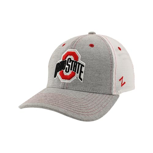 Ohio State Buckeyes Fitted Hat - Gray