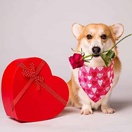 Valentine's Day Pet Bandana Set - Heart & Kiss Print - Large