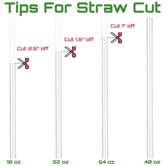 Hydro Flask Straw Replacement Set - 6 Pack for Wide Mouth Bottles