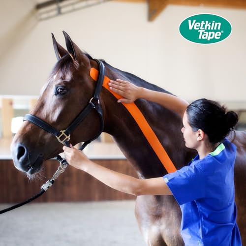VETKIN Blue Kinesiology Tape for Dogs & Horses Veterinary Support 2.4in