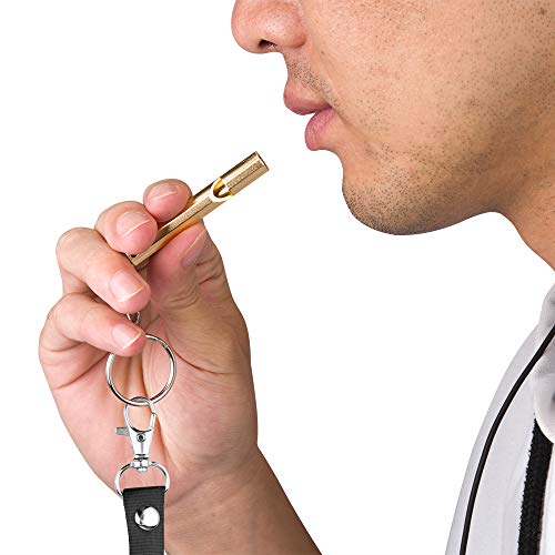 Double-Tube Emergency Survival Whistle - 2 Pack with Lanyards & Keychains