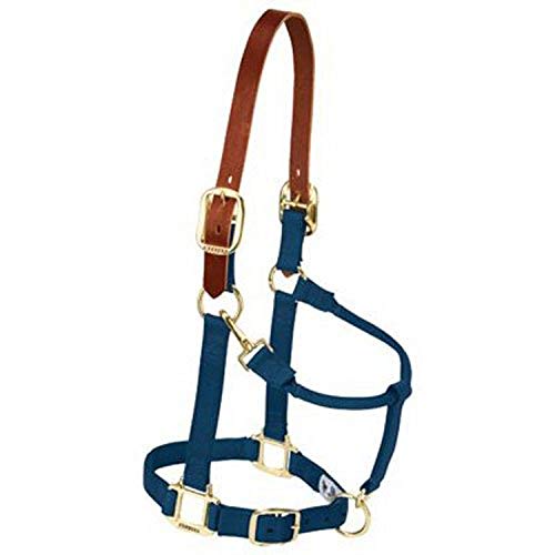 Breakaway Horse Halter - Adjustable Nylon with Leather Crown - Navy / Average Horse