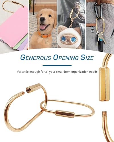 Gold Brass Carabiner Clip with Lock for Keys, Bags, Luggage & Outdoor Gear