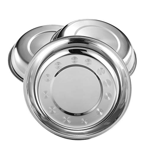 Eslite 9-Inch 18/10 Stainless Steel Dinner Plates - Set of 6
