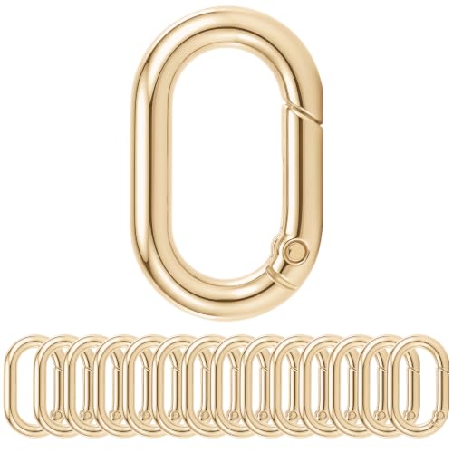 Leovqn Gold Oval Carabiner Clip Keychain Rings 15Pcs for DIY & Crafts