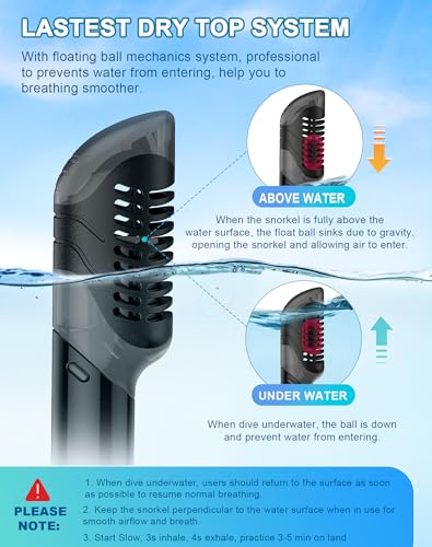 Dry Snorkel Mask Set for Adults & Kids - Black, Large