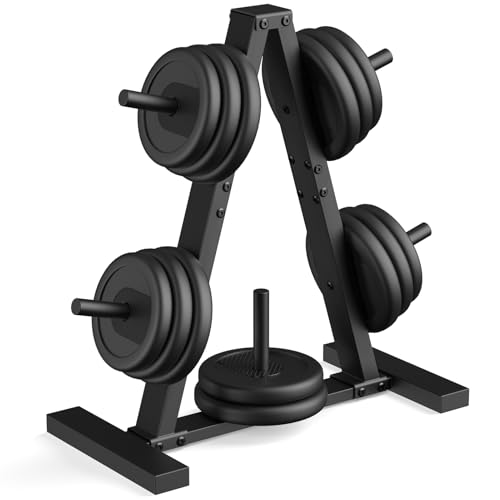 Weight Plate Rack - Space-Saving Storage Stand for 1-Inch Plates, Holds 300 lbs