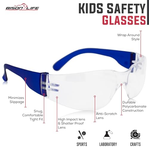 BISON LIFE Kids Safety Glasses, Bulk Kids Protective Glasses ANSI Z87.1 Safety Glasses for Kids, Science Safety Goggles Pack