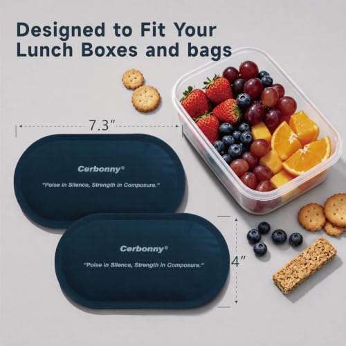 Slim Ice Packs for Lunch Boxes - Reusable 2 Pack, Dark Blue