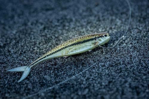 PowerBait The Champ Minnow Fishing Bait - HD Fathead Minnow, 2.5in