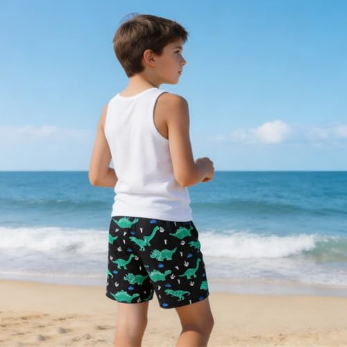 Boys Swim Trunks Quick Dry Board Shorts - Black Dinosaur 4-5T