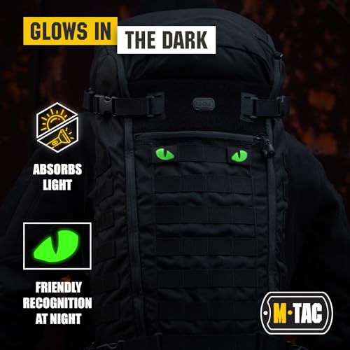 Glow-in-the-Dark Tiger Eyes Tactical Patch - Black