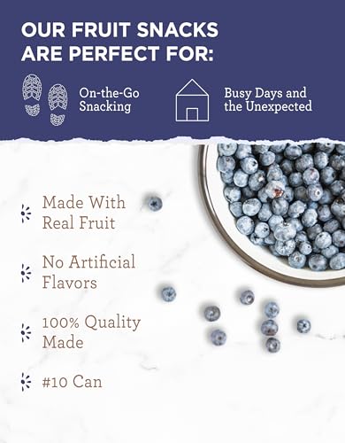 ReadyWise Freeze Dried Blueberries - Whole Blueberries 28 Servings for Camping & Snacks