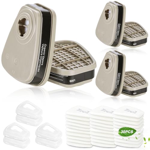 6001 Filter Cartridges for Respirator, Replacement Respirator Filters, Anti Organic Vapors, Paint, Chemical, Respirator Cartridges for 6200, 6502, 7502, 6800, 4008 Series(3 Set)