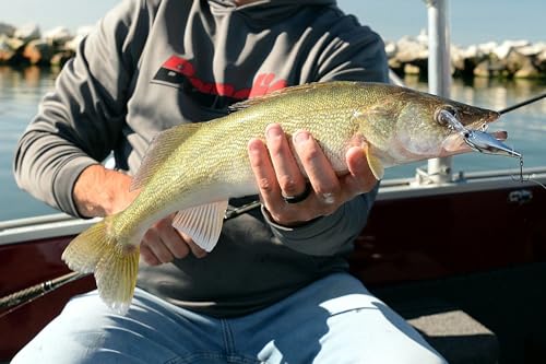 Bandit Walleye Shad Crankbait - Fruit Dots / WS2 (2-11/16") - Realistic Shad Profile for Freshwater Fishing