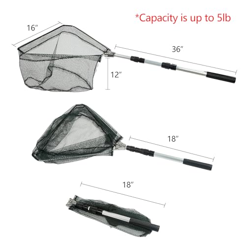 Telescoping Fishing Landing Net - Extendable 40-63 Inches