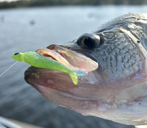 Live Roam'R 1.75-Inch Soft Plastic Minnow Bait for Crappie - Monkey Milk
