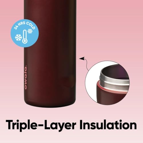 Owala FreeSip Stainless Steel Water Bottle 24 oz Black Cherry - Insulated & Leakproof