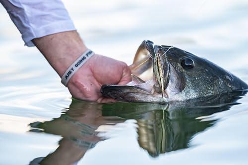 PowerBait The Champ Minnow Fishing Bait - HD Fathead Minnow, 2.5in